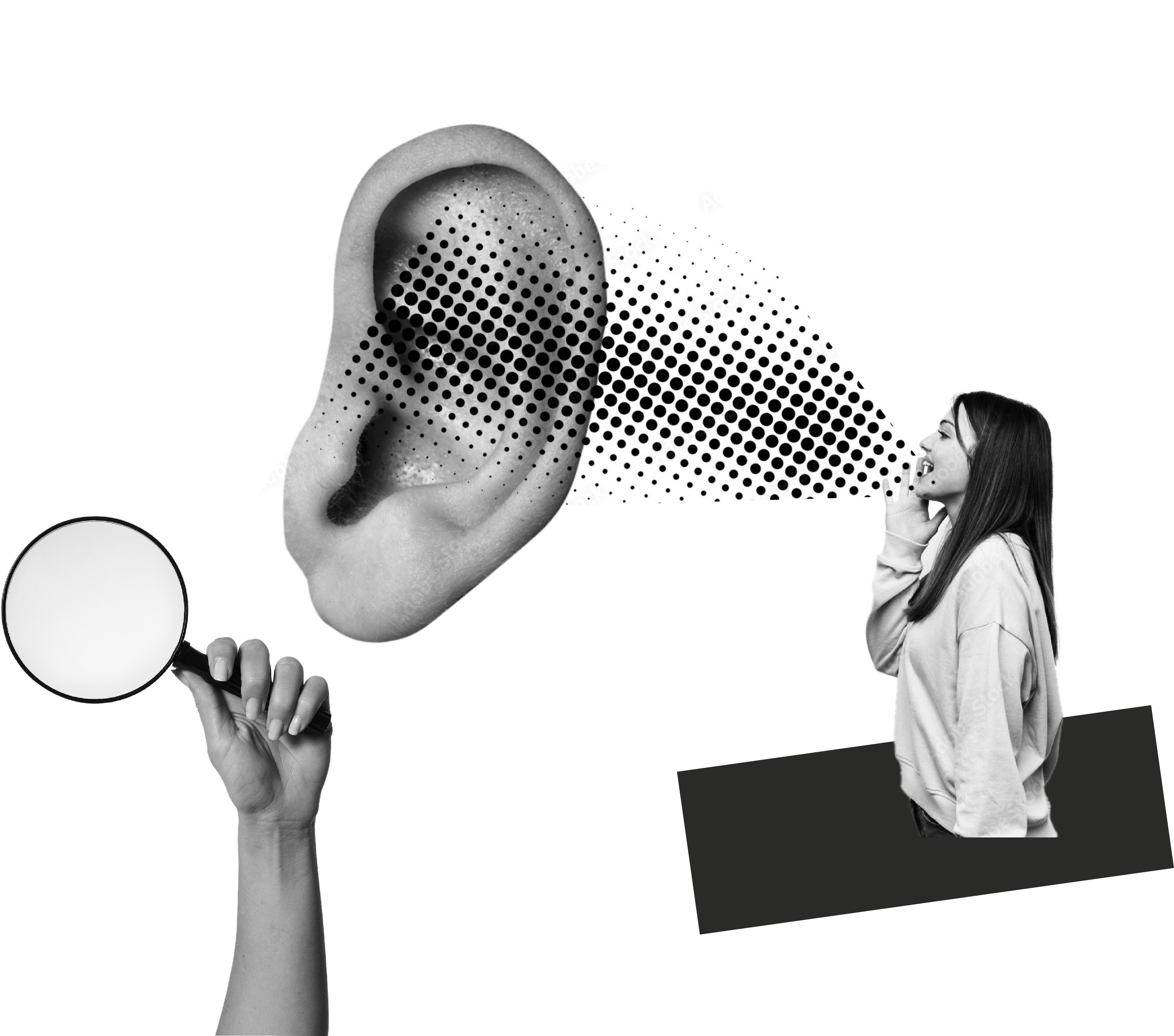 FF_Headergrafik_start
